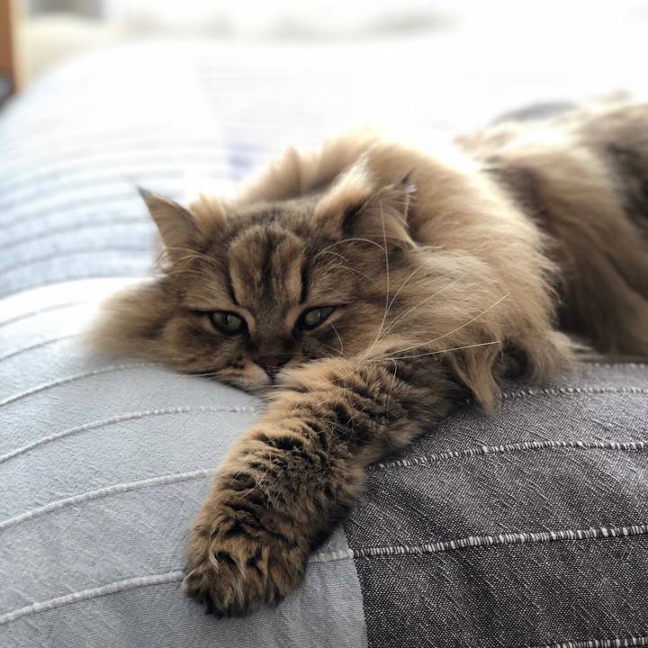 Ec8c43cf f6ba 46a2 8788 6c8838f6fdd5 1520752034013