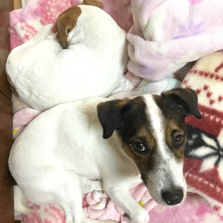 Ec8c9d33 a784 497b a5e5 78dee7e9b280 1547424215129