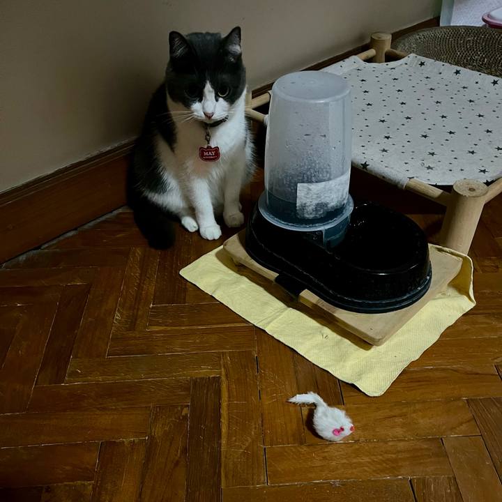 Ec8c9feb 98f8 42a9 a43b 136c23fabacd 1765670723954