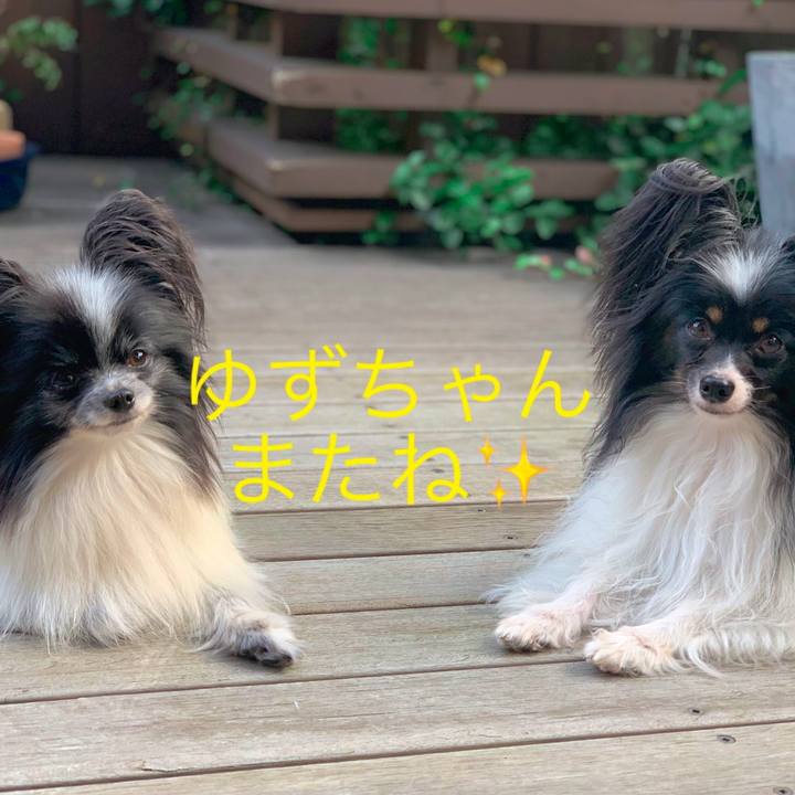 Ec8cd8d7 1de1 4acb a7f7 70294c9ad067 1597721994033