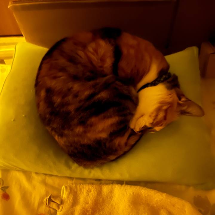 Ec8d135f 2863 418d a4e5 099a1f20fe11 1746743389255