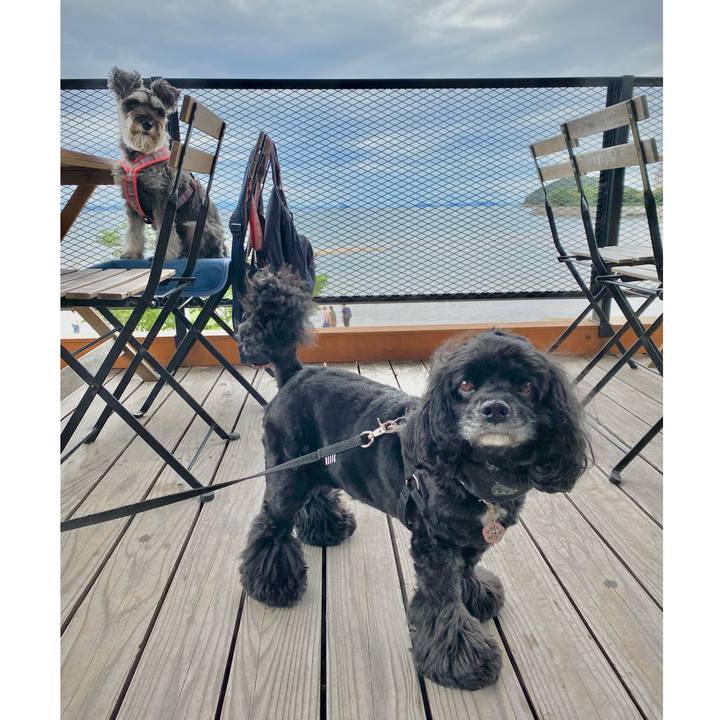 Ec8d278a c414 4527 90fa be43ba367bdf 1695391126360