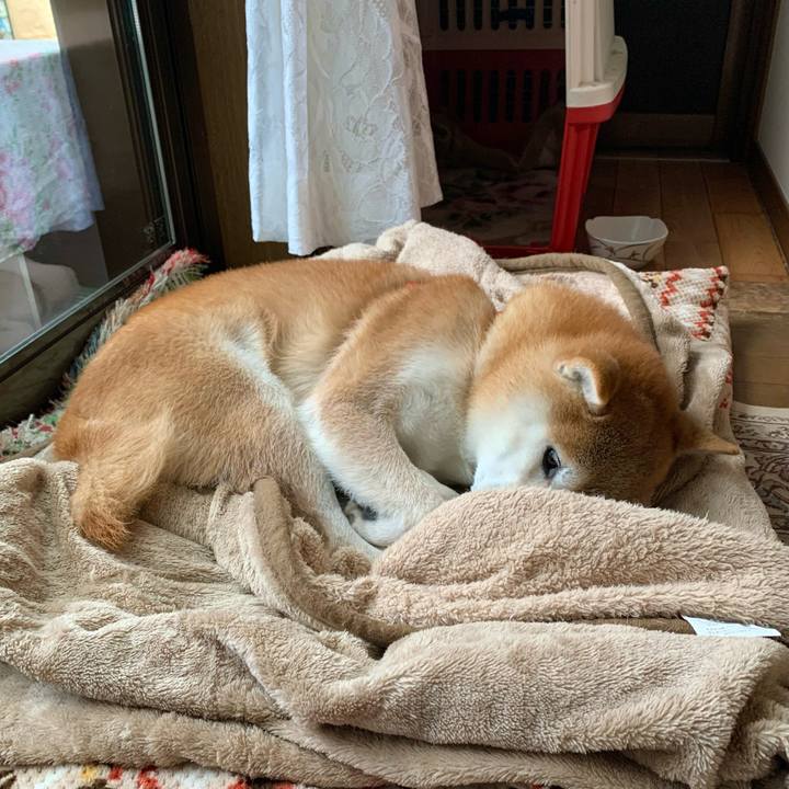 Ec8d353a 0f0e 416a ac81 05d74cf7f931 1672388383987