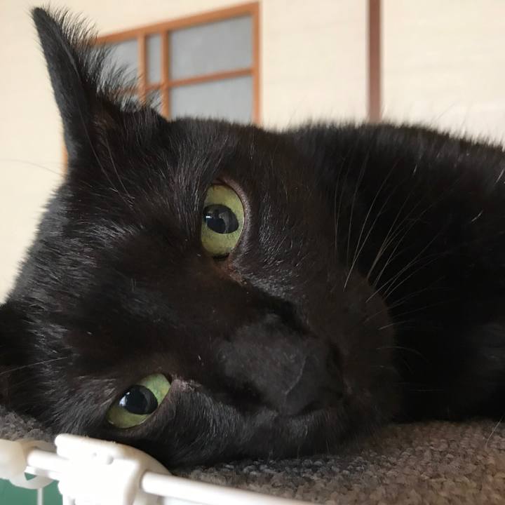 Ec8d4faf 6eb3 48b8 9610 ee9239d240a5 1534809619021