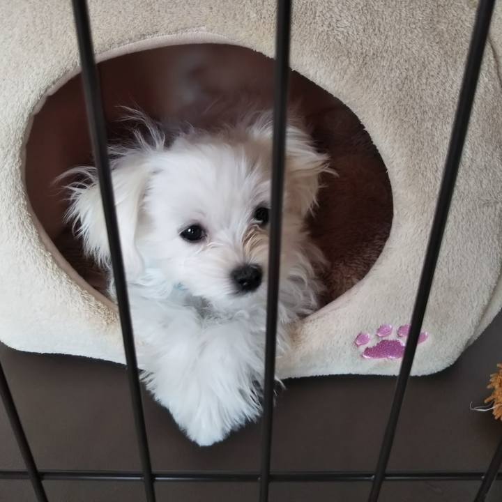 Ec8d583b 875b 40d3 9129 cf5de1e371ae 1553230231057