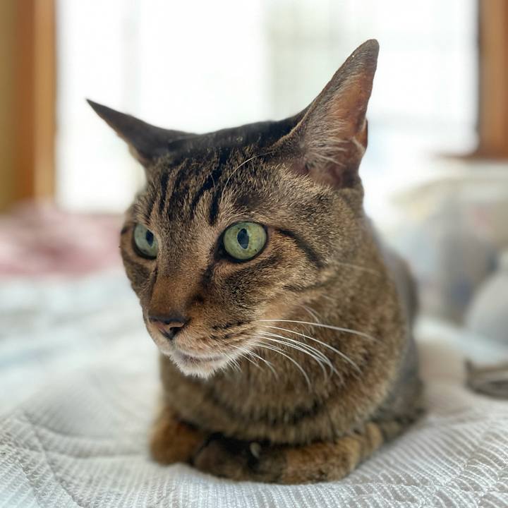 Ec8d6053 2993 4b51 a817 cc107990822b 1624241192171