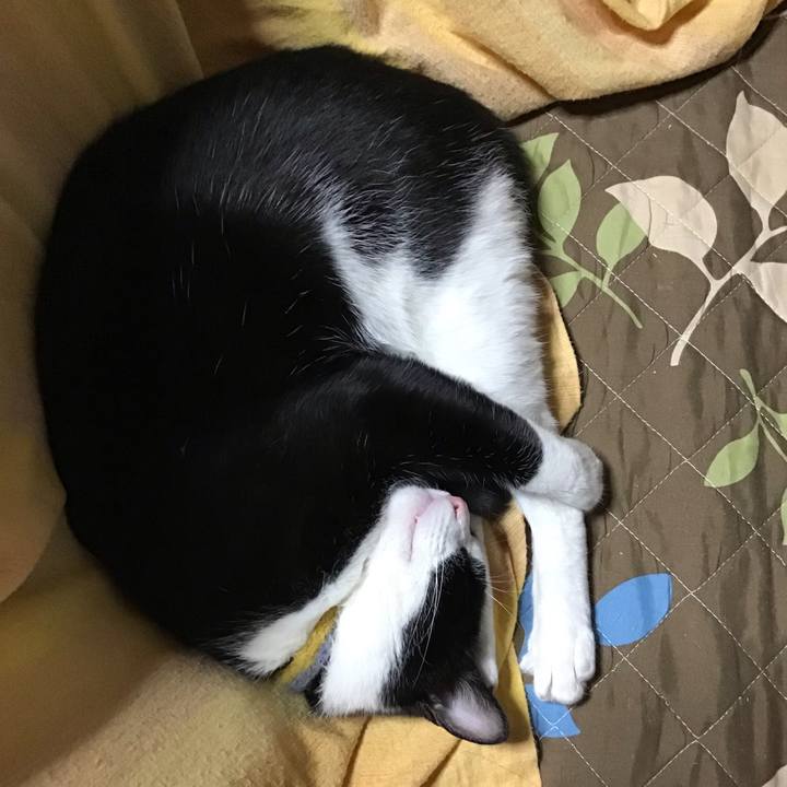 Ec8da0eb ef5f 467f a5b5 f06bba5f2f75 1651484827354