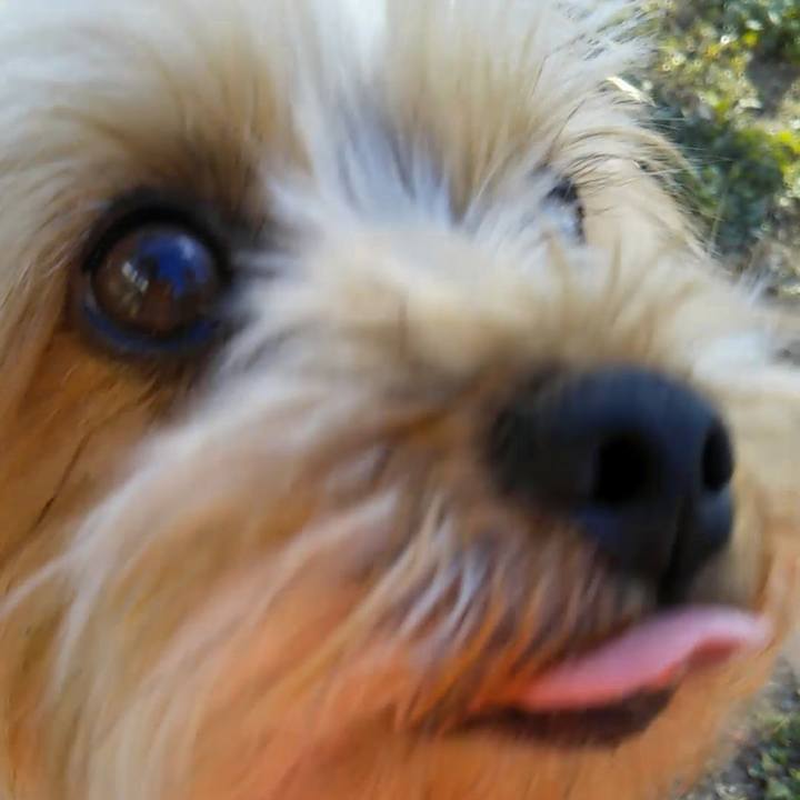 Ec8dab6a cfa1 447c a796 493c2240009d 1639179815366