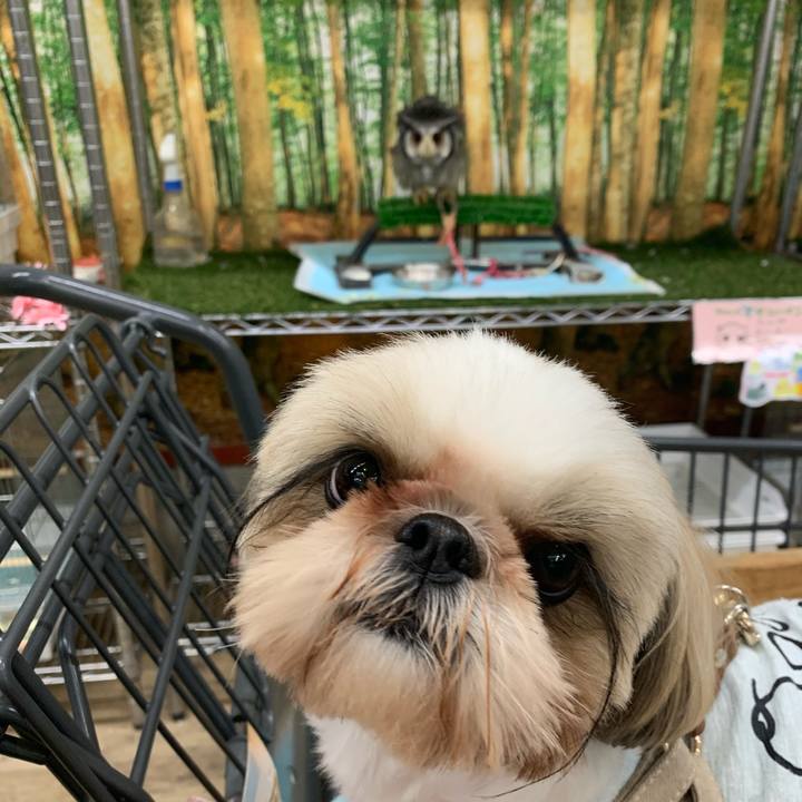 Ec8df9e2 4ec3 4bee a486 85c6c6c193fc 1620097144233