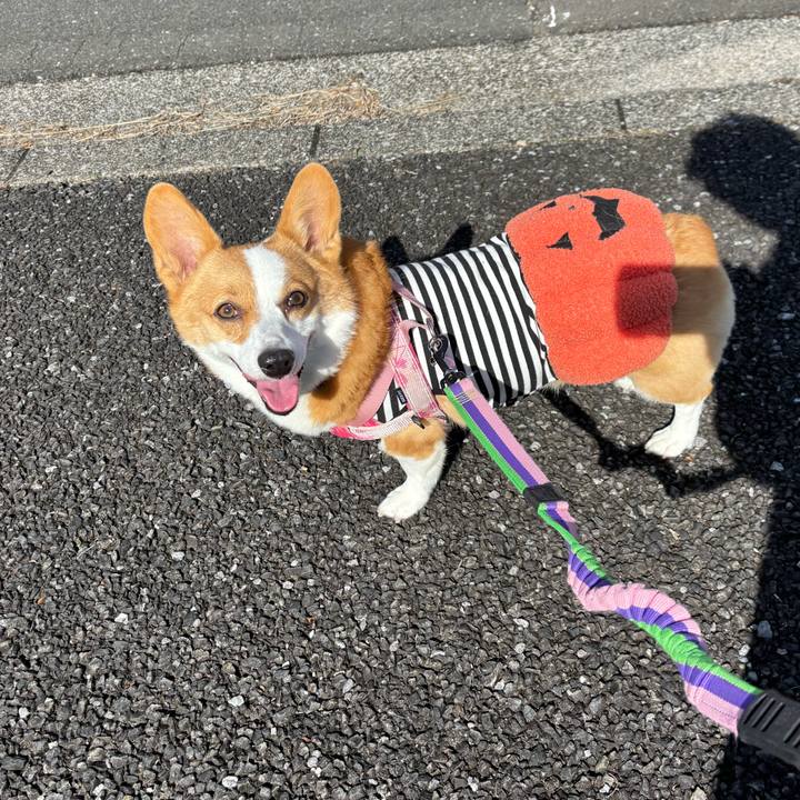 Ec8e0869 ccba 4b33 815e b0951c2e6c6b 1761710663696