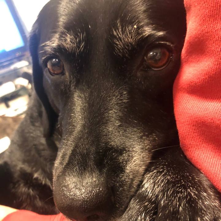 Ec8e0be1 a15d 4f77 9753 04a90ed9bb79 1587862844913