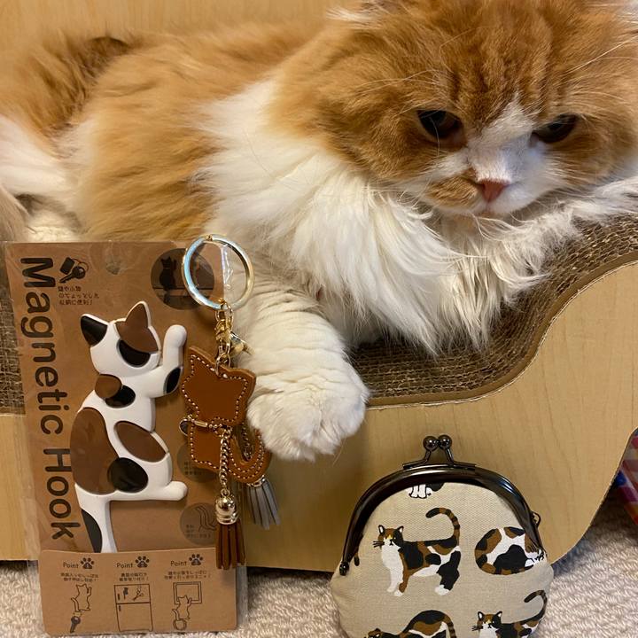 Ec8e12ff de03 4d8f 844e cb827c0bc0ad 1656895307770