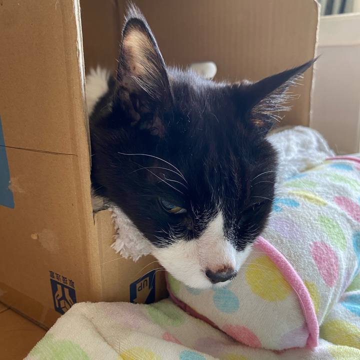 Ec8e26d4 f25e 4ecc b844 cc5f56ed1933 1742603612354