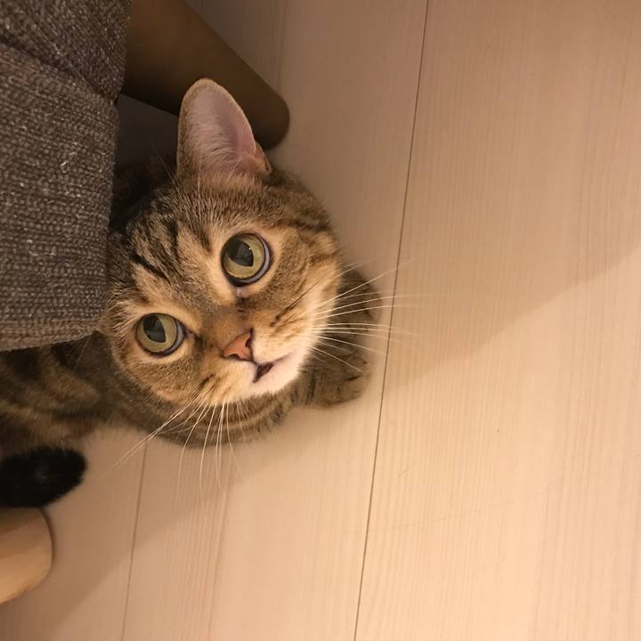 Ec8e5367 7426 4ef3 a0e6 2a61b4b4aff4 1537518245609