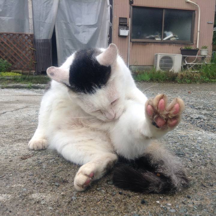 Ec8ebcbf 567f 4842 83e2 62d9a0f43ee6 1531228872407