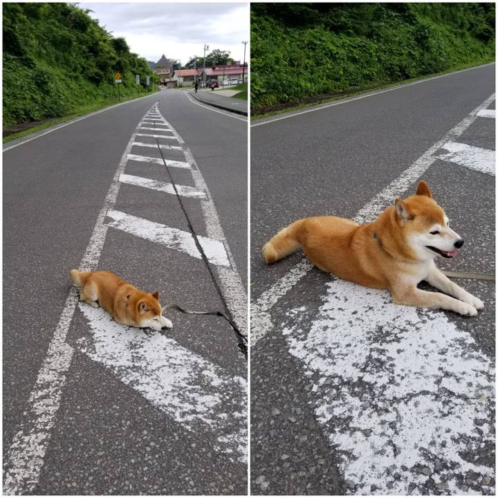 Ec8ee2c9 495f 45d6 802e 3b48eb71c84c 1561876020563