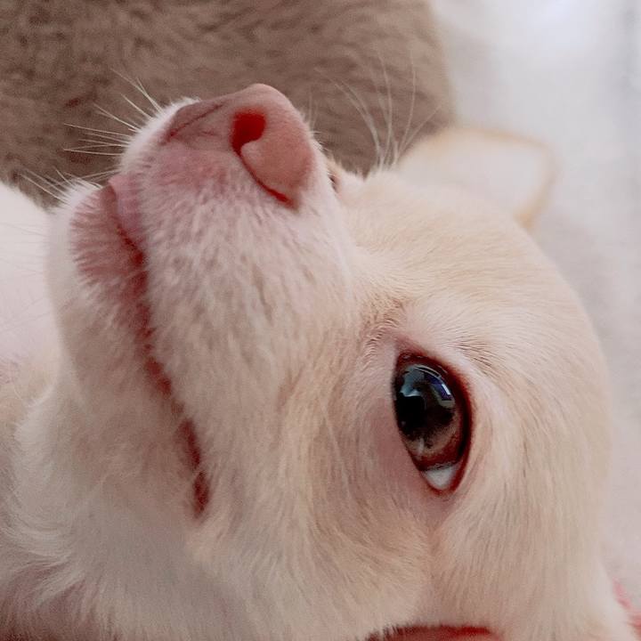 Ec8eeb7c 57ad 44d1 b097 c5a0f73b1b89 1595041110335