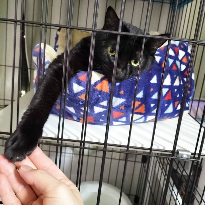 Ec8ef5d0 e455 4bf9 92ec 159b86377a0c 1701340770623