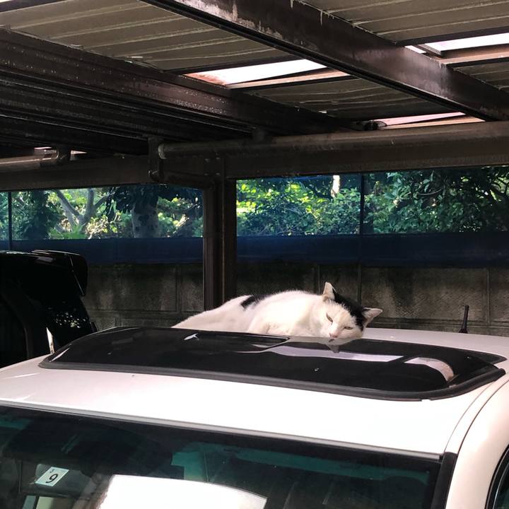 Ec8f0a9c 067f 4232 a9c5 a7a05fd1eb2c 1599977271705