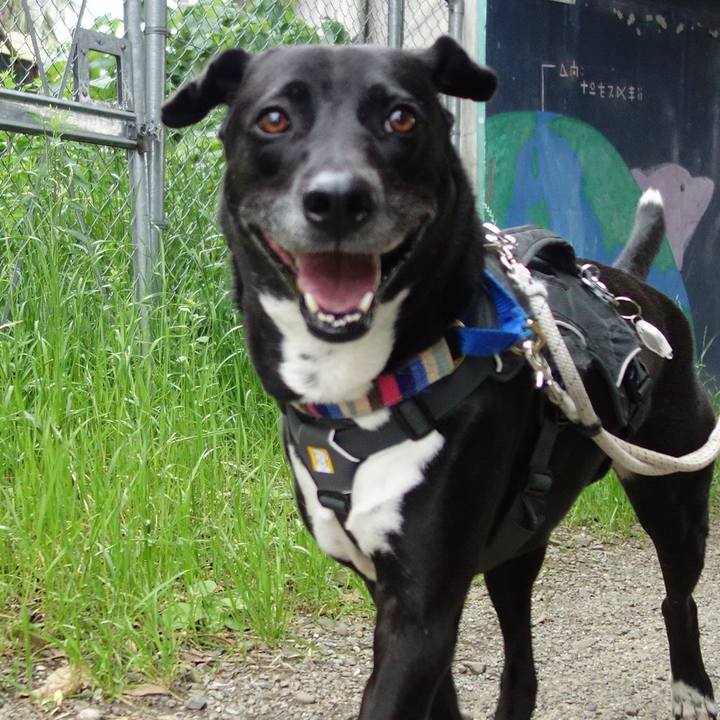 Ec8f1dda 404c 4117 a976 4257f7e2d3f7 1652054900139