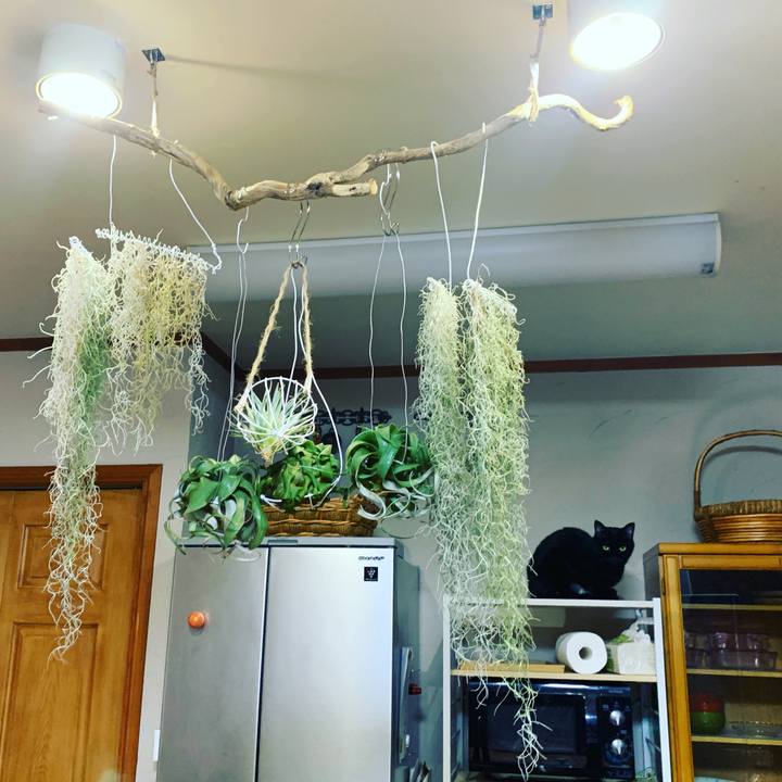 Ec8f230a 4997 4330 b78d 855d49403eab 1661344241498