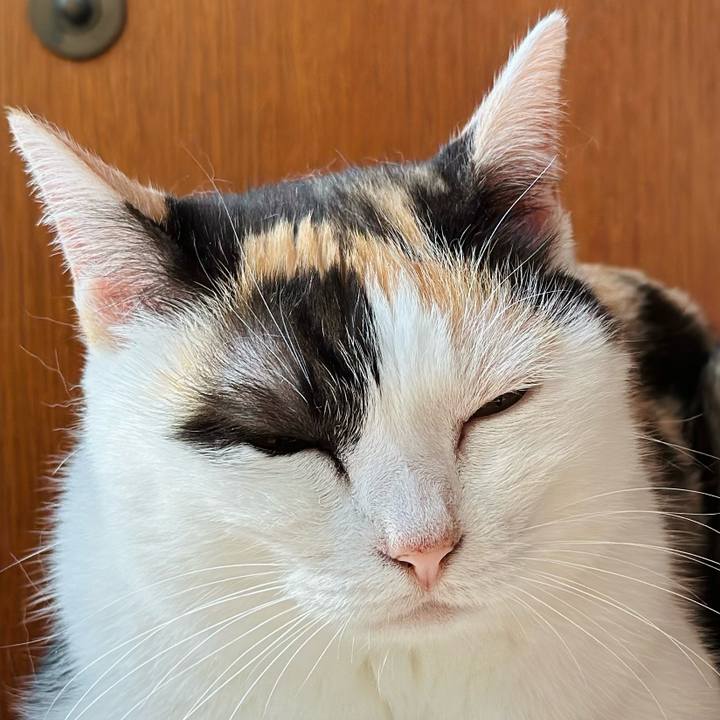 Ec8f325b e485 4f14 80e9 daf91c9afa23 1691454126702