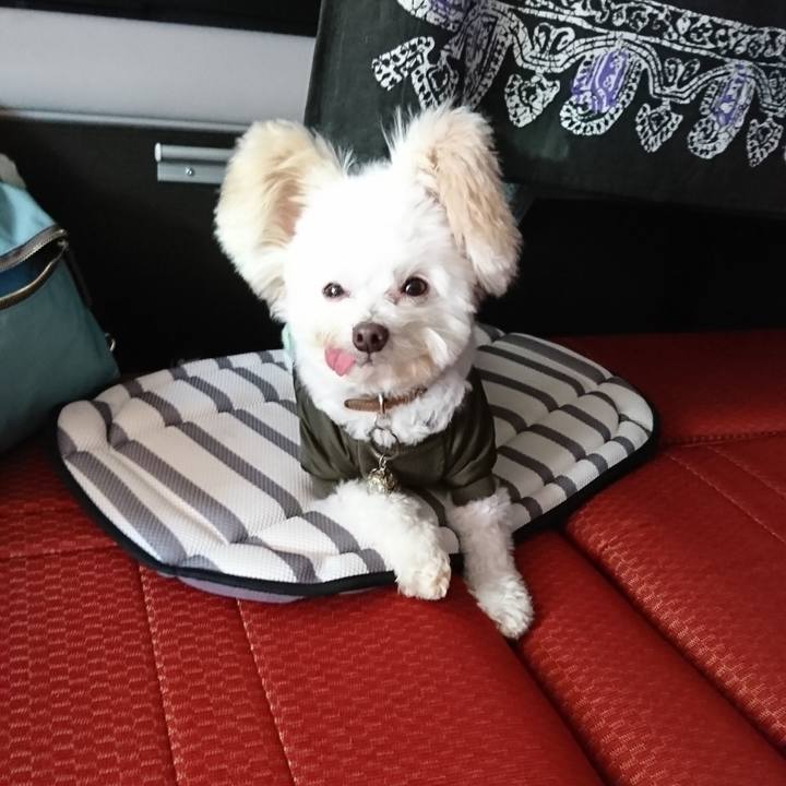 Ec8f4ee4 ae46 4d6a 8445 1eb00a8bb2d2 1573553279204