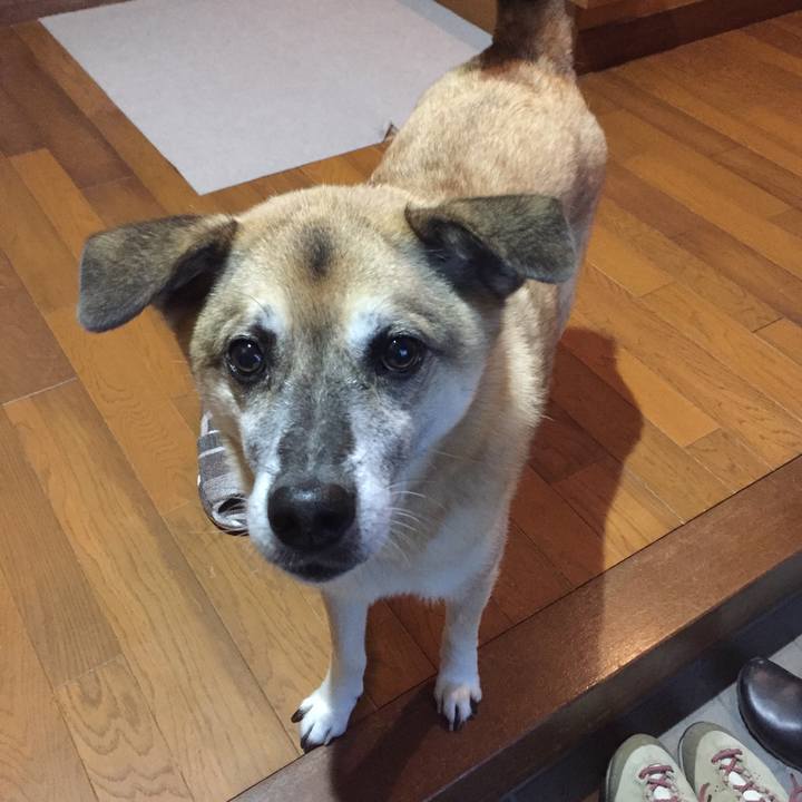 Ec8f5892 8c09 4371 8333 ac4d2c09c07c 1574821882630