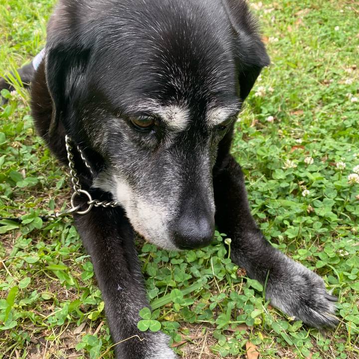 Ec8f60e4 8388 4617 bf8c e23b22420fc2 1749715229272