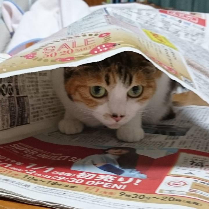 Ec8fbf84 61bb 40c1 a9ec 3b1a6030ea12 1546242150630