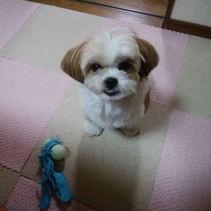 Ec8fe930 24d5 429b ba4c 3f04052d1f87 1510305889075