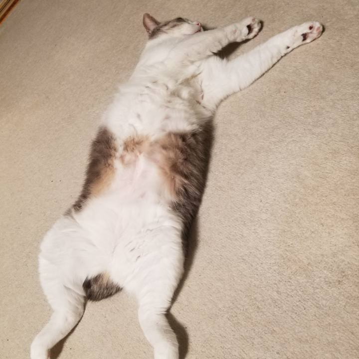 Ec8ffbed 8ebc 4a17 8580 ba89c11f99d8 1643633433144