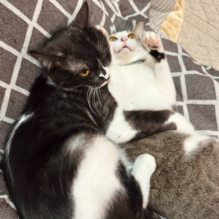 Ec90270c 456e 4baa b347 73e2e715c1d9 1768904508054