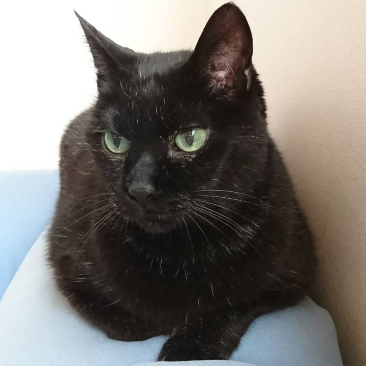 Ec904146 31bd 4510 a1a1 205c8a81f7b6 1593593399707