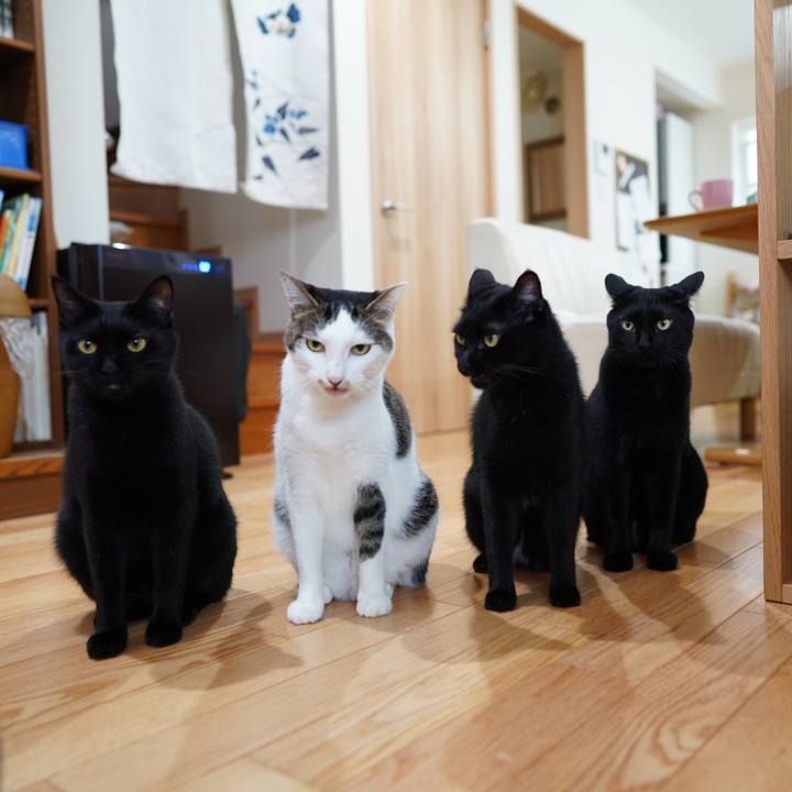 Ec90488d dcee 4656 972d e137da5547a7 1568472020820