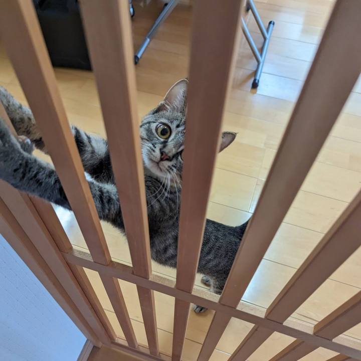 Ec90684c aa22 4dc9 81b2 cea548943eb6 1709005258343