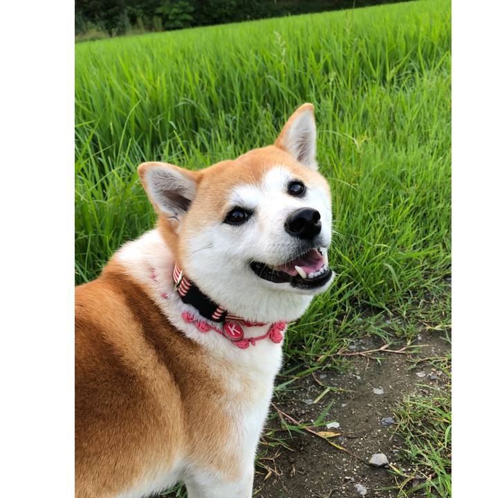 Ec906f15 20f8 4c3c 80ec b6d3c3b36bf0 1563262520307