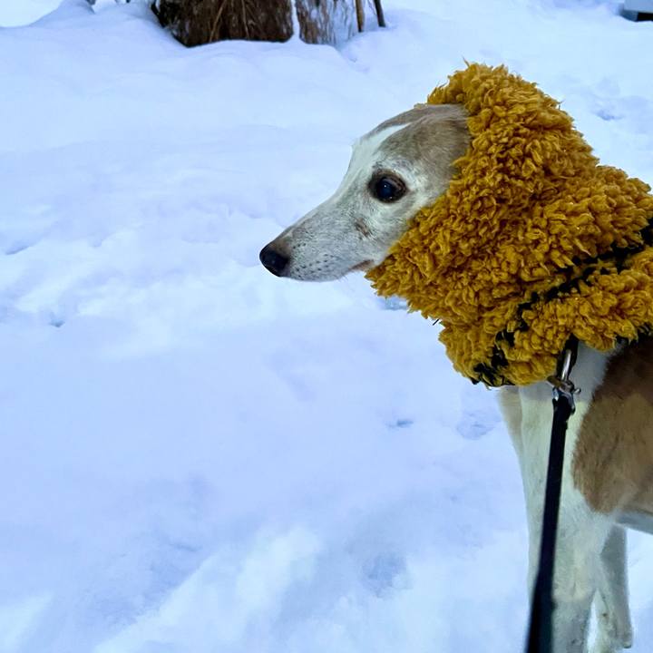 Ec90b844 c000 4ed1 b878 af8966f57e5b 1767168764427