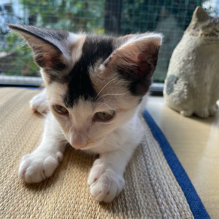 Ec90bbde 08e0 415f 8f29 45d0bcc1a6fc 1658701221813