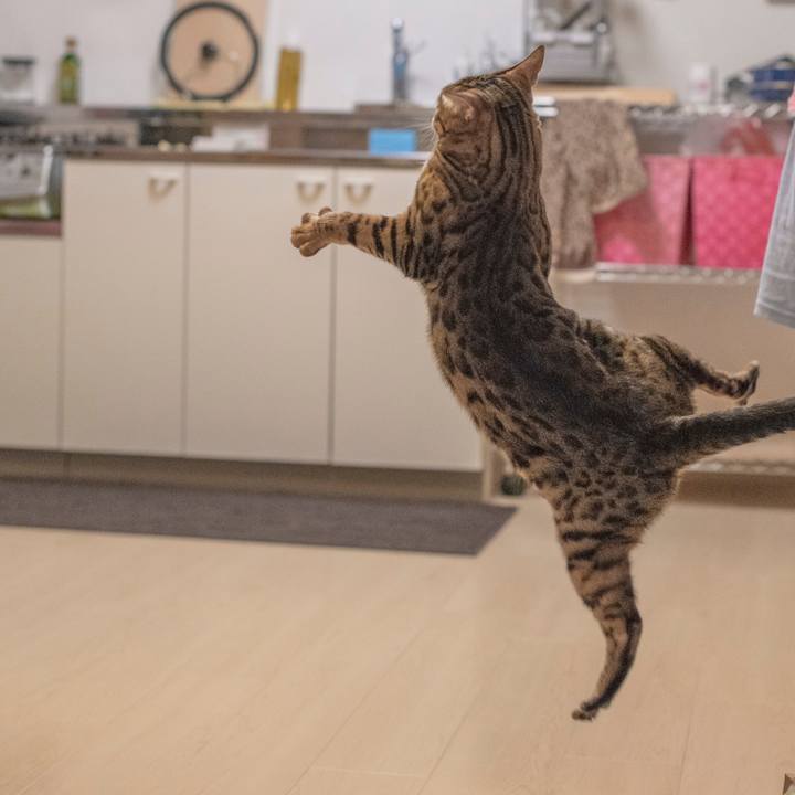 Ec90e357 82d3 426a a7ed 7f5c1ff95856 1530889420873