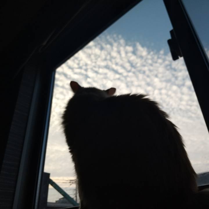 Ec91118b d2bb 4323 b006 c7feda1551a6 1624275947323