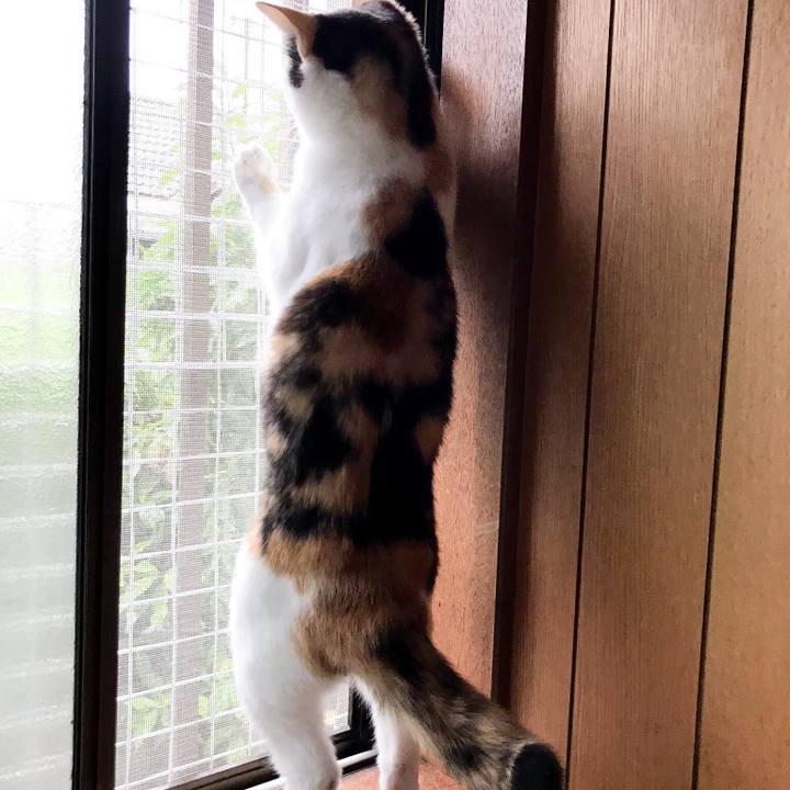 Ec913d98 ad2f 4ae2 a807 0d7f880af513 1530492326786