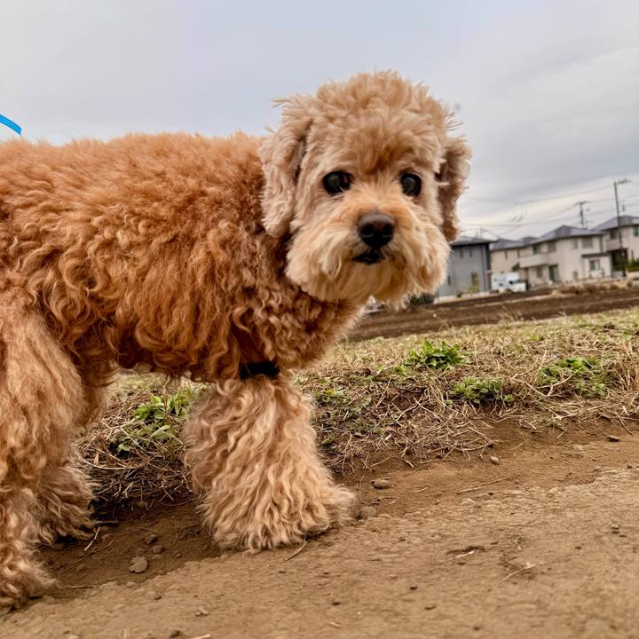 Ec914b7a 89ea 4670 9653 deb5e8f634e3 1773104867095