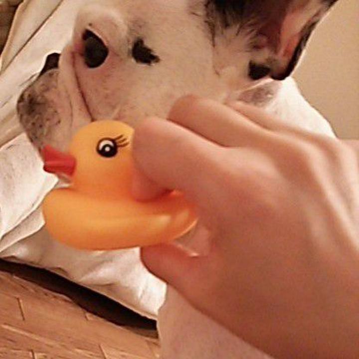 Ec9154e4 6914 42d1 9f64 8d2be3233207 1557921908529