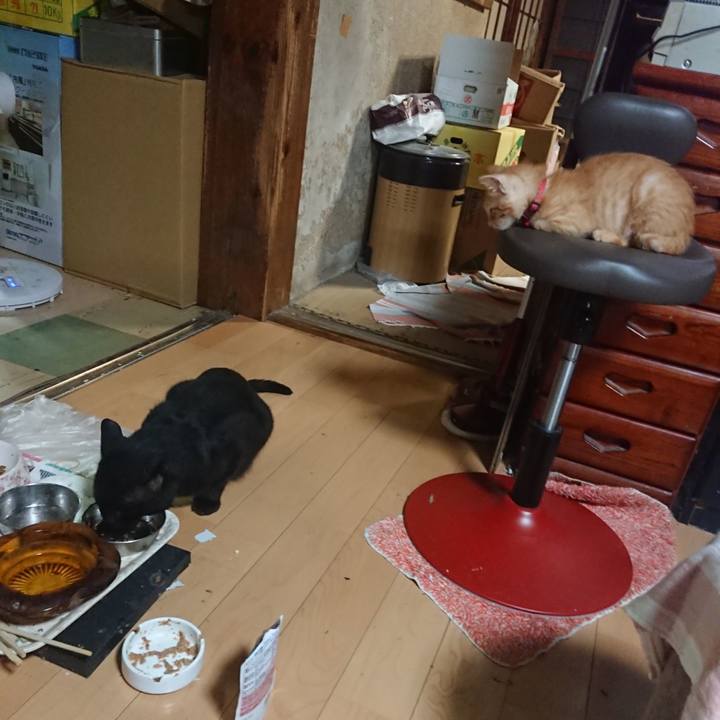 Ec918bd0 ff13 4de8 9313 20afa162659c 1630148236165