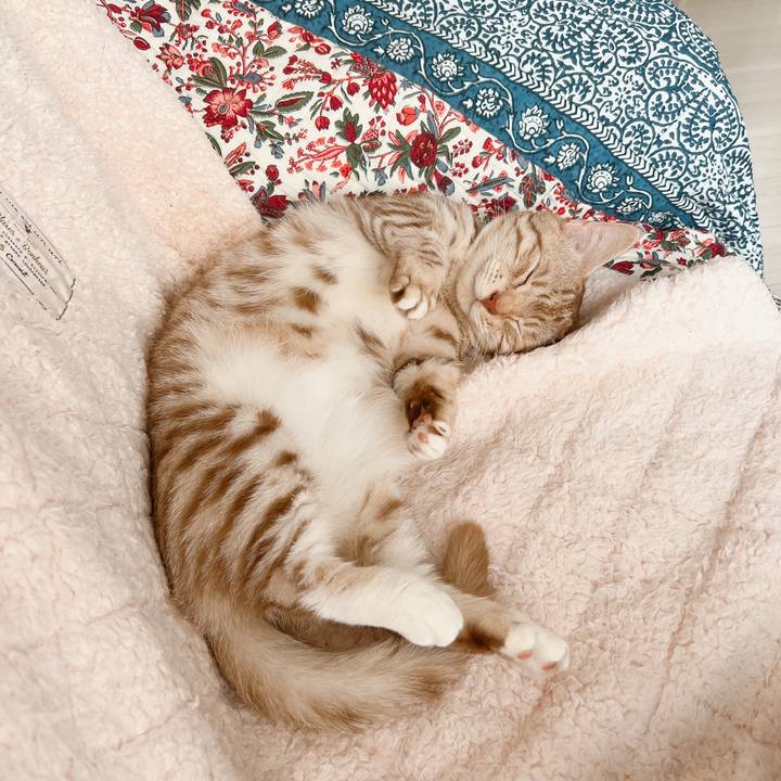 Ec91a76a 1a15 4958 8a43 58bebfad57f3 1654920827581