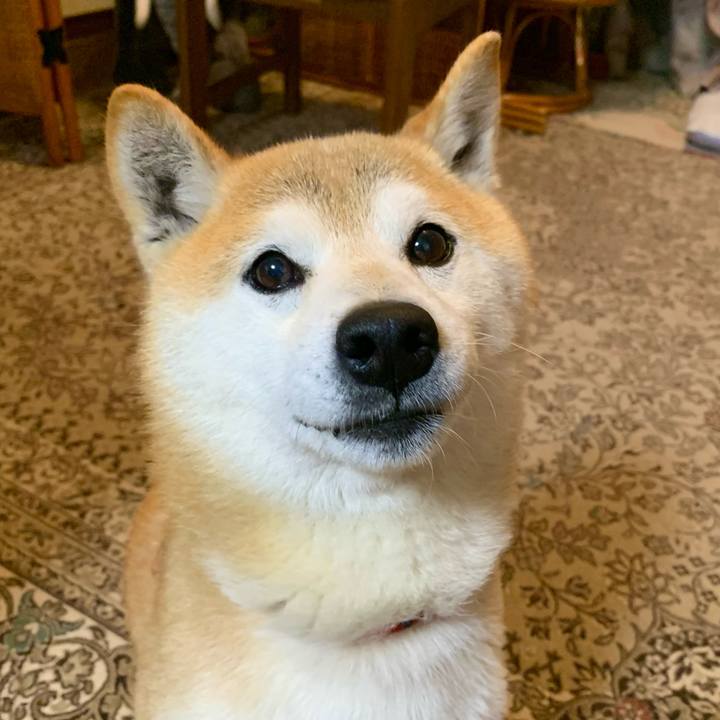 Ec91e11a 075c 43fe a2ea 10fac05612b6 1679567317835