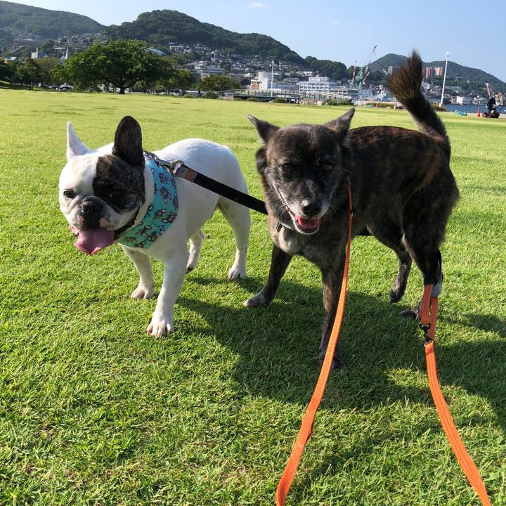 Ec91e9e0 366a 4313 a83c 5949a272f565 1568788157303