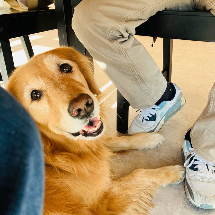 Ec92acc3 b56c 49bd 8390 88d9338fda57 1737810456496