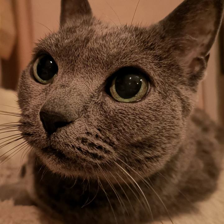 Ec92fc2d 73ce 4c8d a3bf 40469a96729a 1551572053773